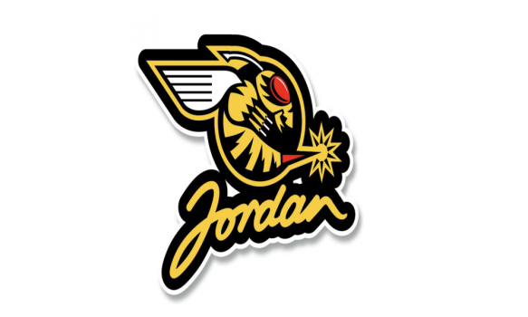 JORDAN F1 TEAM